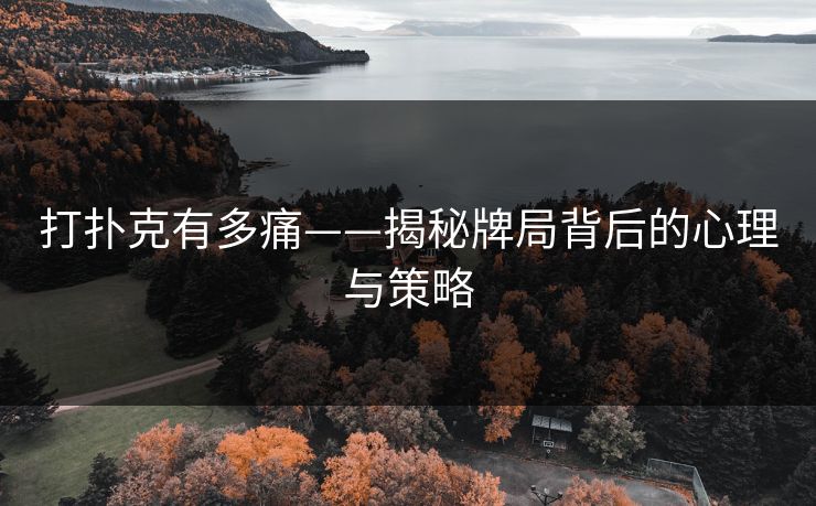 打扑克有多痛——揭秘牌局背后的心理与策略