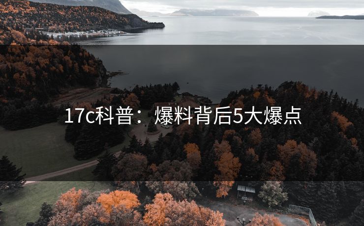 17c科普：爆料背后5大爆点