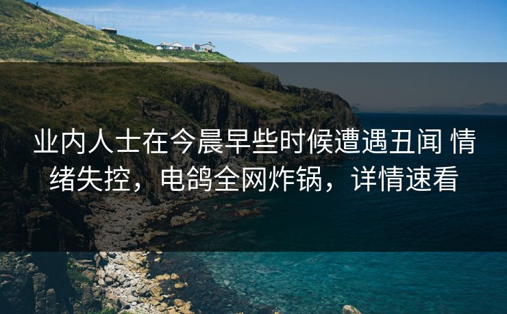 业内人士在今晨早些时候遭遇丑闻 情绪失控，电鸽全网炸锅，详情速看